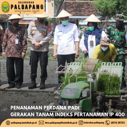 Penanaman Perdana Padi Gerakan Tanam Indeks Pertanaman (IP 400) di Bulak Serut Prenggan Palbapang