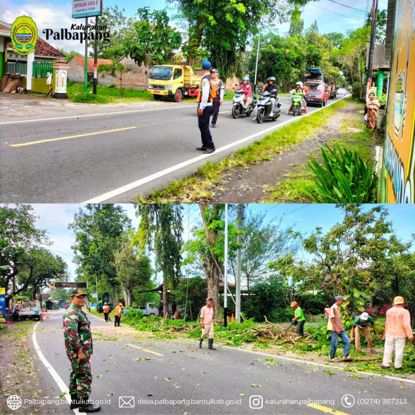 Giat Rabas Pohon Website Kalurahan Palbapang